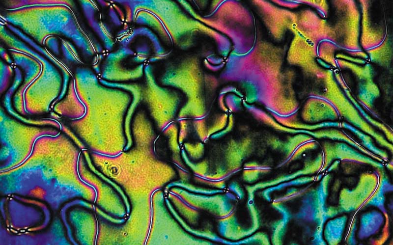 A liquid crystal sample. Photo by Verduzco Laboratory - Rice University.