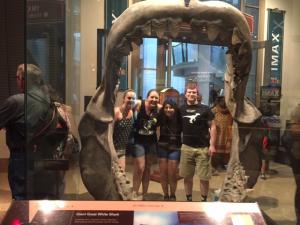 Interns at the Natural History Museum